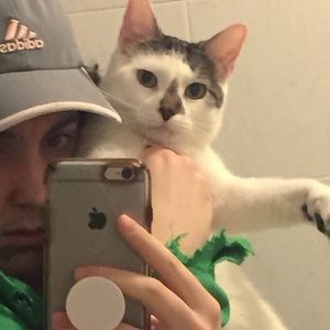 Meet your Posher, Amberley